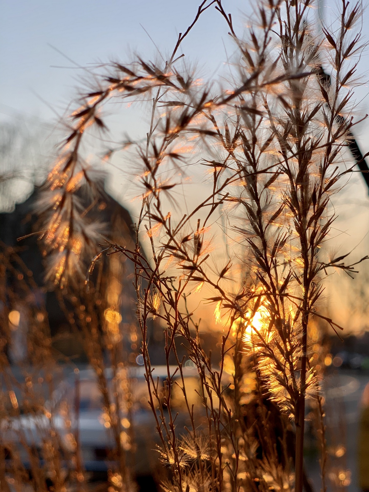 Linnen Berlin - Prenzlauer Berg